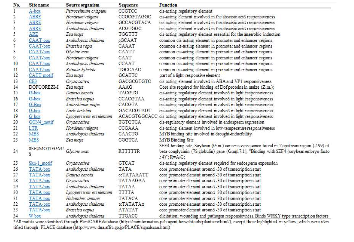 List of regulatory elemnet motifs found in PgTR sequences
