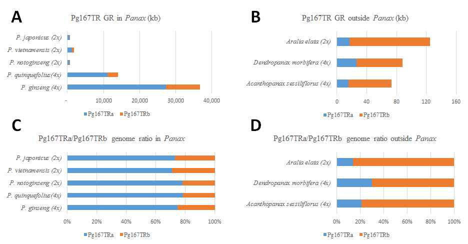 Reference mapping of whole genome sequence reads to Pg167TRa and Pg167TRb showed differential abundance of each type within Panax and outside Panax. A and B) Genome representation (GR) of each Pg167TR type in kb within and without the genus Panax repectively. It is important to note that diploid species have considerably lower Pg167TR than tetraploid species. In particular, P. ginseng show a burst in Pg167TR amplification compared with its closely related tetraploid species, P. quinquefolius. C and D) Ratio of Pg167TRa and Pg167TRb within and without the genus Panax. It is important to note that Pg167TRa type is more abundant (up to >80 of all Pg167TR in the genus Panax, while the opposite is true in related species outside the genus. This implies evolutionary contribution of Pg167TR in shaping the species in Panax and related species