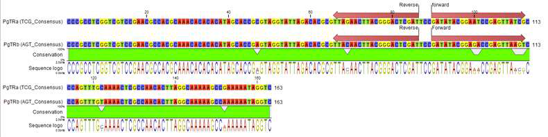 PCR-based PgTRa and PgTRb probe desgin. Differential forward PCR primers were designed from the TCG/AGT regions of both PgTRs, reverse primers were the common for both sequences