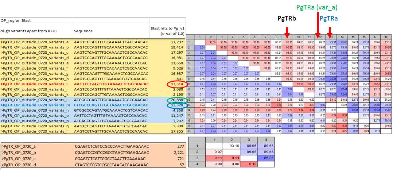 BLAST estimation and sequence similarity index of 18 variant oligonucleotides. Polymorphic regions of PgTR units after multiple sequence alignment were extracted and subject to BLAST against Panax ginseng v.1 assembly to estimate their respective abundance at e-value of 1.0. PgTRa and PgTRb has similar hits, but PgTRa (var_a) has the hightest hit