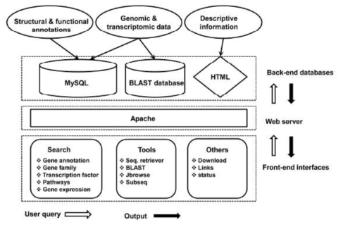 Overview of the architecture of the Ginseng Genome Database
