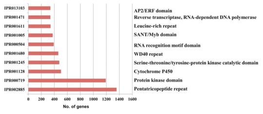 Top 10 INTERPRO domains in the IPGA gene set version 1.1