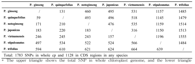 The numbers of nucleotide substitutions in the seven Panax chloroplast genomes