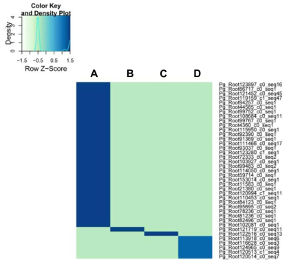 Expression profiles of specifically expressed transcripts in each of four root samples. A total of 39 transcripts were found to be specifically expressed based on the criteria of FPKM value > 3 in one sample and < 1 FPKM in the other samples. Heatmap shows the hierarchical clustering of average FPKM values obtained from individual FPKM values of three replicates. A indicates one-year-old whole roots, and B, C, and D represent main bodies, lateral roots, and rhizomes of six-year-old root samples, respectively. Transcript IDs are shown to the right of the heatmap