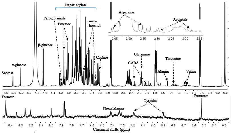 Representative 1H-NMR spectrum of adventitious root sample