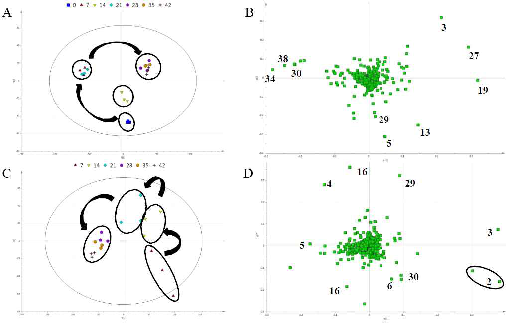 Score/loading plots of adventitious roots (A, B) and media (C, D) using LC-MS data