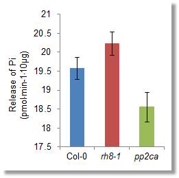 In vitro dephosphorylation assay