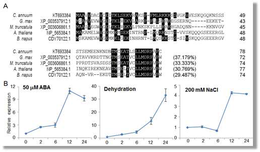 Sequence analysis of CaDRT1 and expression of CaDRT1