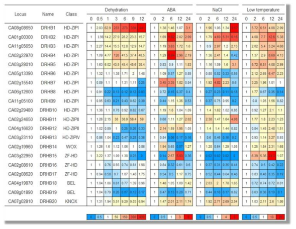 Expression analysis of pepper drought-responsive homeobox (DRHB) genes in response to dehydration, salinity, low-temperature, and ABA