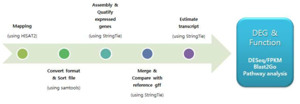 RNAseq analysis: mapping, assembly, DEG, blast2Go and pathway