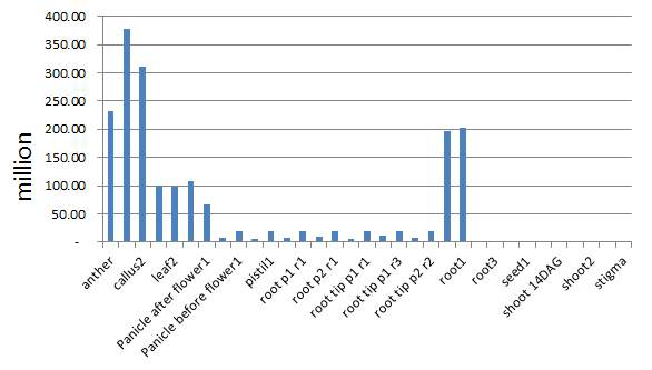 RNAseq read length of tissue specific samples after trimming