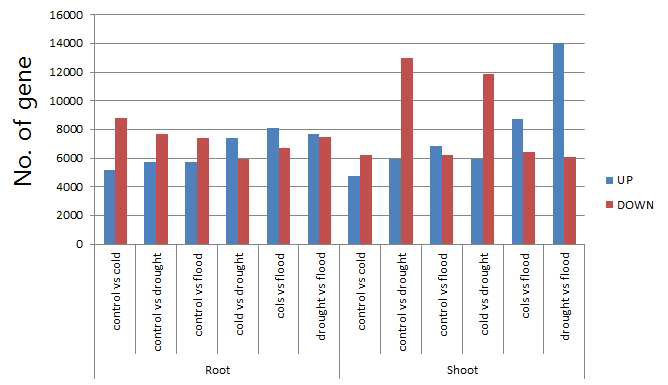 Number of DEG among control and 1 day treated with cold, flood, drought RNAseq in root and shoot