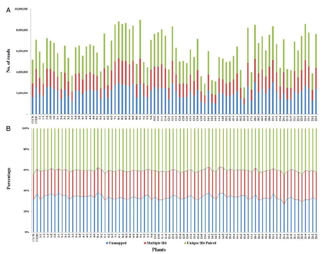 Distribution of sequencing amount of each sample (A) and statistics of mapped reads per individual(B)