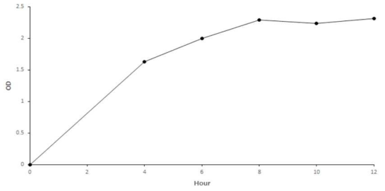 The change of lactic acid bacteria count of medium incubated for 12 h