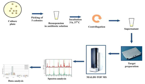 Process of microbes identification