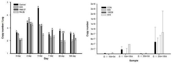 Population of mycotoxin producer fungi (Fusarium moniliforme)