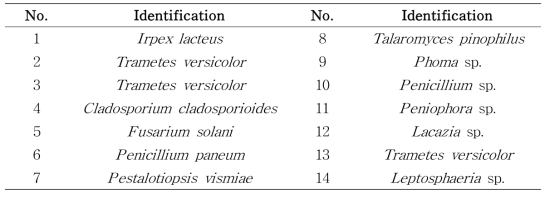 Identification of the isolated fungi