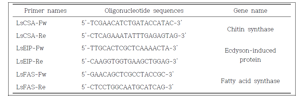 애멸구 후보 유전자의 dsRNA의 증폭에 사용된 primer 염기서열