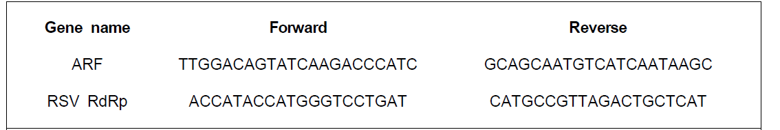 Chtin synthase 정량에 이용한 qPCR 프라이머의 염기서열