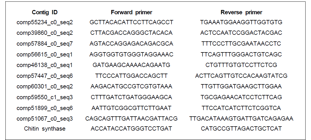 Buprofezin 처리 시료의 NGS 결과 검정을 위한 pPCR 프라이머의 염기서열