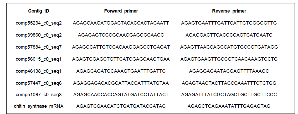애멸구 생장 조절 유전자의 클로닝을 위한 프라이머 염기서열
