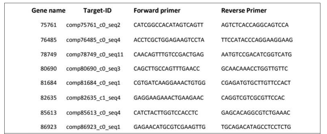 애멸구의 RSV 보독 특이 발현 유전자의 발현량 검정을 위한 pPCR 프라이머