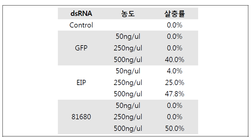 dsRNA 처리 농도에 따른 살충률