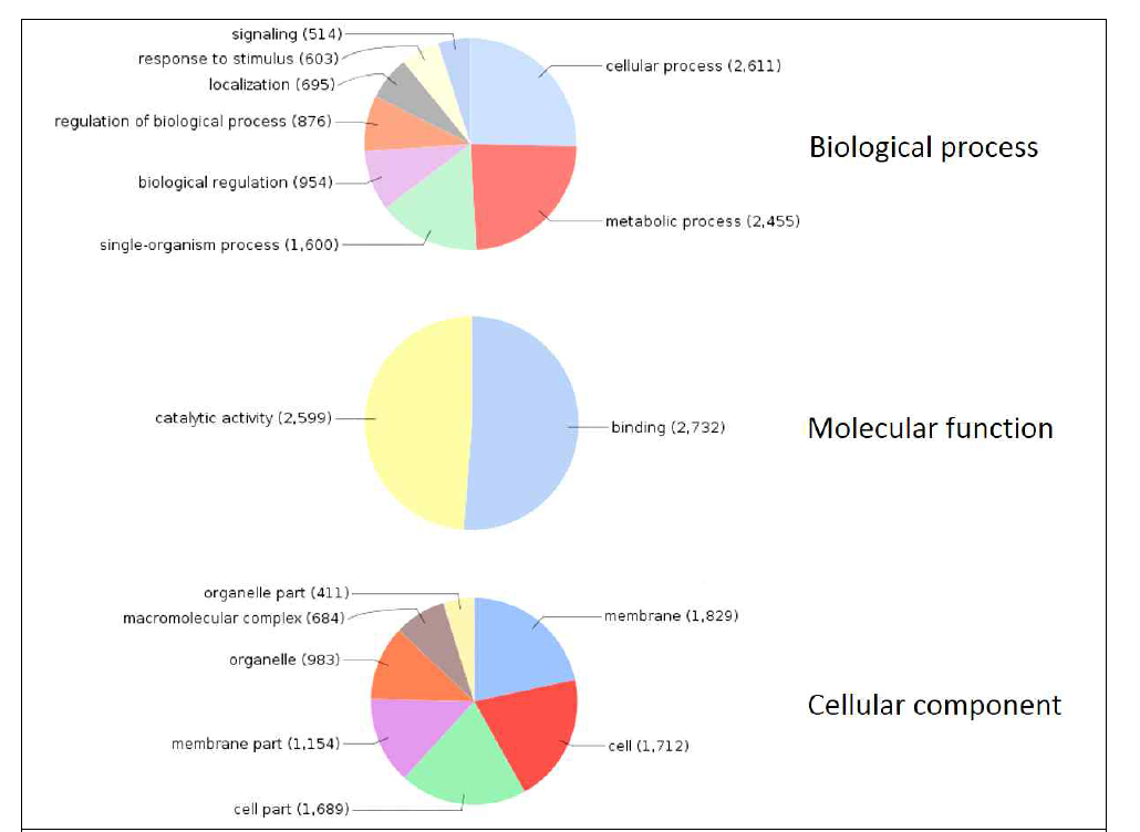 애멸구 cDNA 라이브러리의 gene ontology 분석