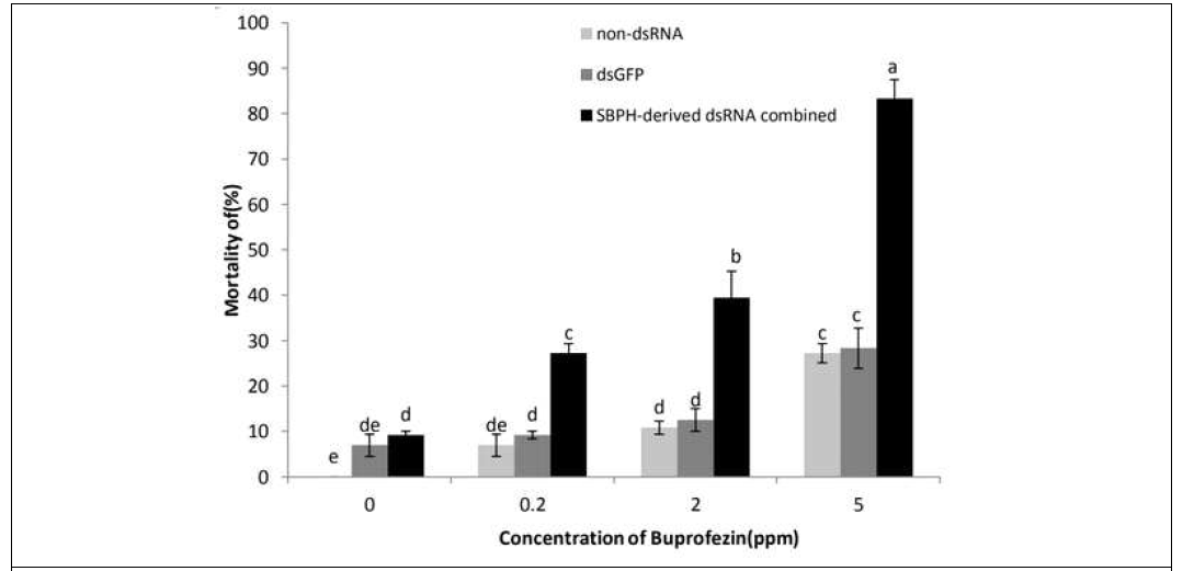 Buprofezin과 살충성 dsRNA의 혼합 사용에 의한 상승효과의 검정