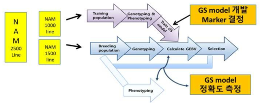 Genomic selection 과정