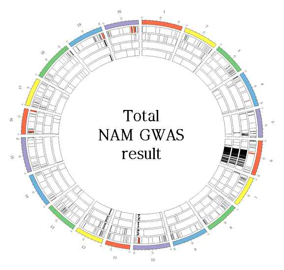Comparison of result of GWAS analysis from 2015 Cheonan, 2016 Cheonan and 2016 Jeonju. The innermost circle represents the results of the Cheonan GWAS in 2015, and the GWAS results of the Cheonan in 2016 and Jeonju in 2016 are shown outward. The outermost circle represents the orthologue reference gene in Arabidopsis