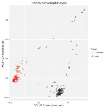 205점 콩의 genome-wide SNPs에 기초한 principal component analysis plot
