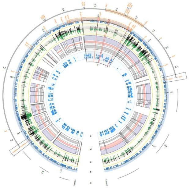 Summary of integrated analysis in the vicinity of the the Soybean mosaic virus (SMV) resistance gene Rsv 4 on soybean chromosome 2. a Genetic linkage map.b Physical map of an ~1 megabase (Mb) region that includes the Rsv 4 locus. c Association results from a Firth’s logistic regression. d Haplotype blocks and relative haplotype diversity in the 19 accessions. e Reference genome annotation