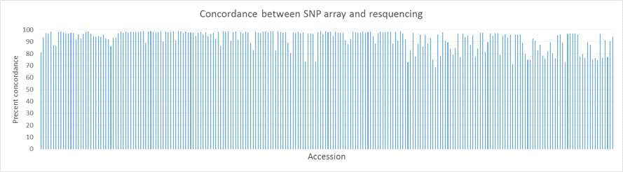 230개 accessions에서 SNP array와 resequencing으로 calling된 SNP의 concordance test