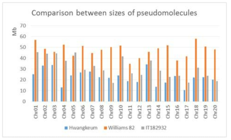 Hwangkeum과 IT182932에서 작성한 pseudomolecules과 Williams 82 reference genome의 pseudomolecules의 크기