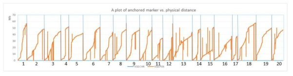 A plot of anchored marker (x axis) vs. physical distance (y axis) in the Hwangkeum genome sequence. Anchored markers are those located on the genetic map of the Hwangkeum x Williams 82K population used to assemble scaffolds into Hwangkeum pseudomolecules. Physical distances are those of pseudomolecules in Williams 82 reference genome Wm82.a2