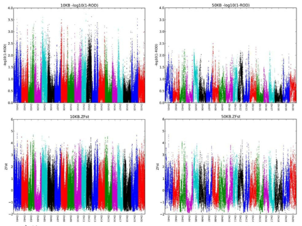 Genome-wide analysis of reduction of diversity (ROD) (upper panel) and average fixation index, Fst (lower panel), plotted for 10-kb windows and for 50-kb windows across the soybean genome