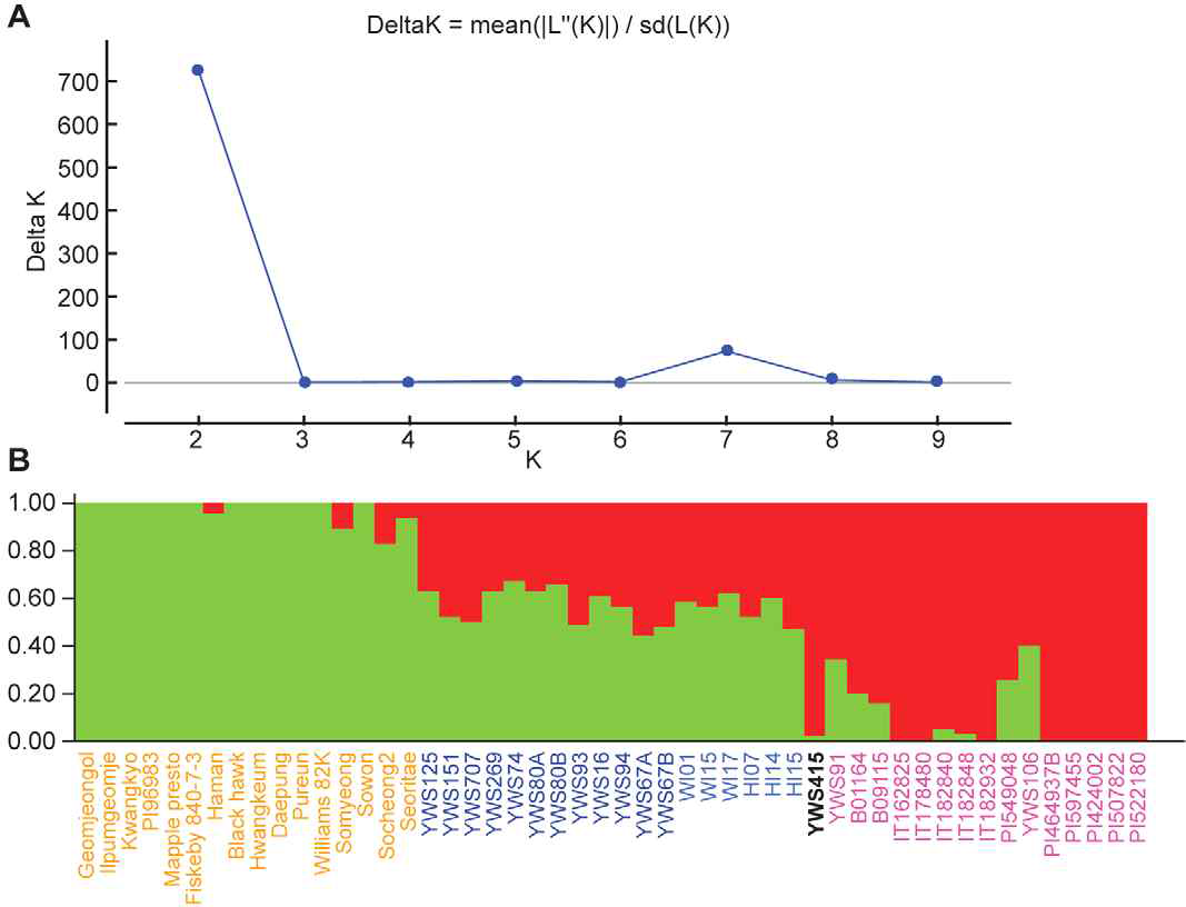 Analysis of the population structure of 50 soybean accessions to assign YWS415 into a soybean subpopulation. (A) Plot of DK values from the STRUCTURE analyses, created by STRUCTURE HARVESTER. (B) The population structure estimated by STRUCTURE. Each color represents one population. Each accession is represented by a vertical bar and is partitioned into colored segments with the length of each segment representing the proportion of the individual’s genome from K = 2 groups. The name of YWS415 is in bold black, and the names of 15 wild soybean accessions are in magenta, 12 natural hybrid accessions in dark blue, six artificial hybrid lines in light blue, and 16 cultivated soybean accessions in orange