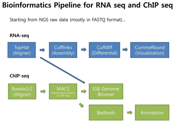 RNA-seq 및 ChIP-seq 데이터의 생물정보학적 분석