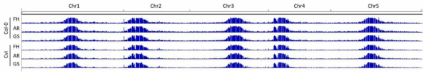 Chromosome 상 DNA methylation level. x축; chromosome별 유전체, y축; methylation level