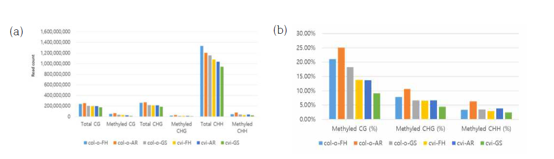 (a) 샘플과 context에 대한 read 총 수와 그 중 meC의 수. (b) 샘플 별 해당 context 내 methylation 비율 (%)
