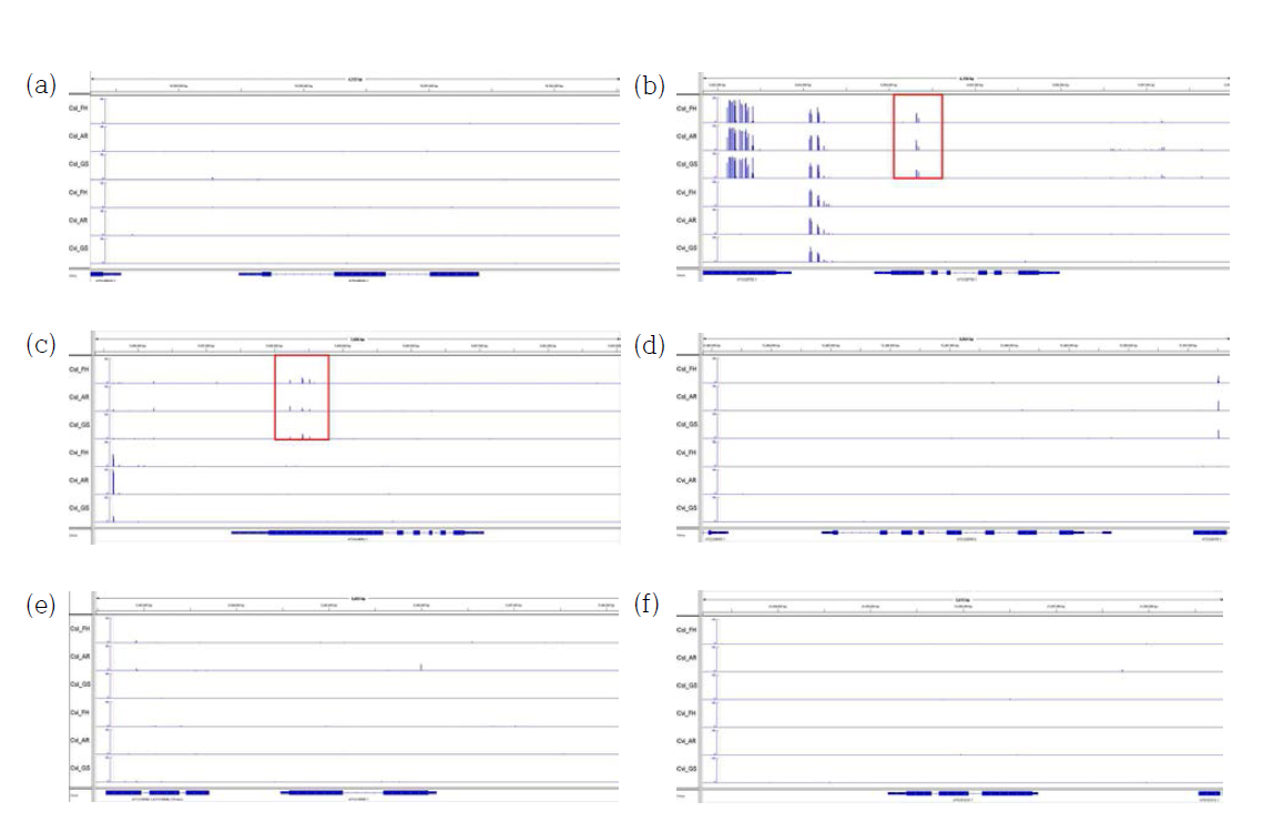 Dormancy 관련 유전자의 DNA methylation. (a) DOG1, (b) FUS3, (c) ABI3, (d) CYP707A2, (e) GA3ox1, (f) GA20ox2. x축; bp, y축; methylation level (0 ~ 100%)