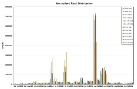 Small RNA sequencing data 분석 결과를 통해 확보된 small RNA들의 길이/5′ nucleotide 종류별 distribution 결과