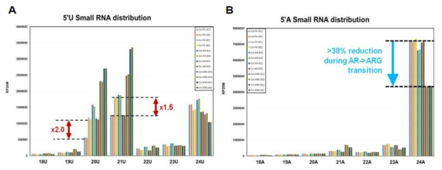 Small RNA sequencing data 중 20U 및 21U, 24A small RNA에 해당하는 data distribution 결과
