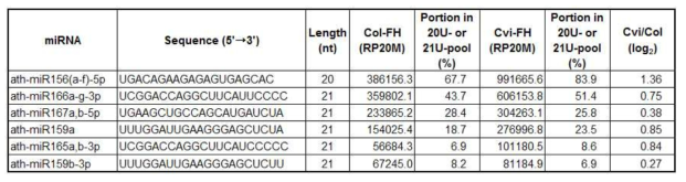 20U 및 21U에 해당하는 microRNA의 Col-FH 및 Cvi-FH에서의 발현 양상 및 해당 small RNA pool에서 microRNA가 차지하는 비율