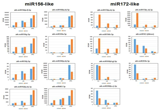 애기장대 종자에서의 miR156과 miR172의 발현 패턴 및 이들과 유사한 발현패턴을 보이는 microRNA들