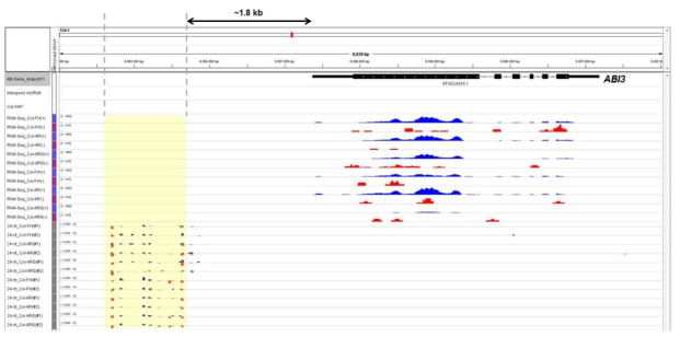 ABI3 유전자 지역의 RNA sequencing data 분석 결과. ABI3 transcript read; RNA-Seq 항목에서 푸른색으로 표지된 peak