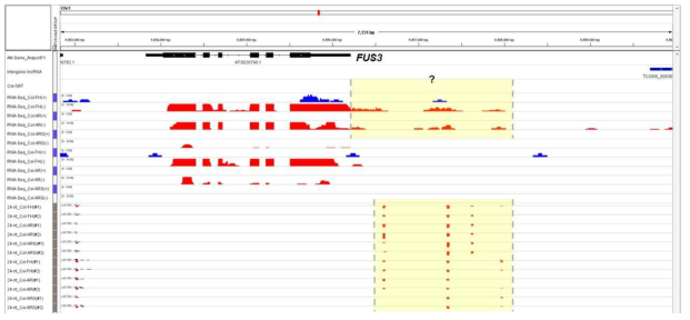FUS3 유전자 지역의 RNA sequencing data 분석 결과. FUS3 transcript read; RNA-Seq 항목에서 붉은색으로 표지된 peak