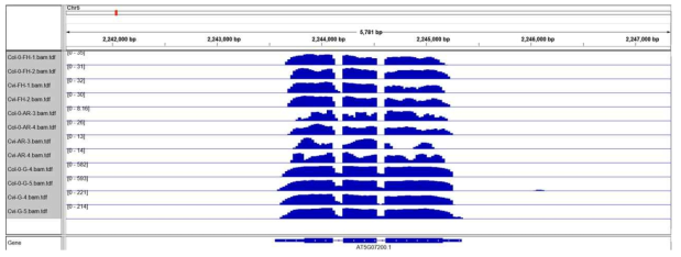 RNA-seq 결과의 GA20ox3 유전자 지역 mapping 결과
