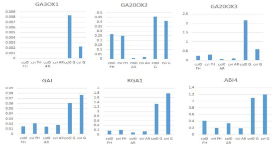GA3ox1, GA20ox2, GA20ox3, GAI, RGA1, ABI4의 qPCR 결과. UBQ11이 real time PCR의 internal control로 사용됨